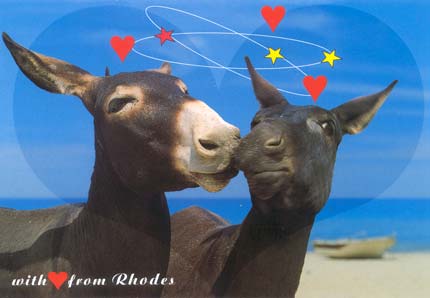 donkeys with love from rhodes